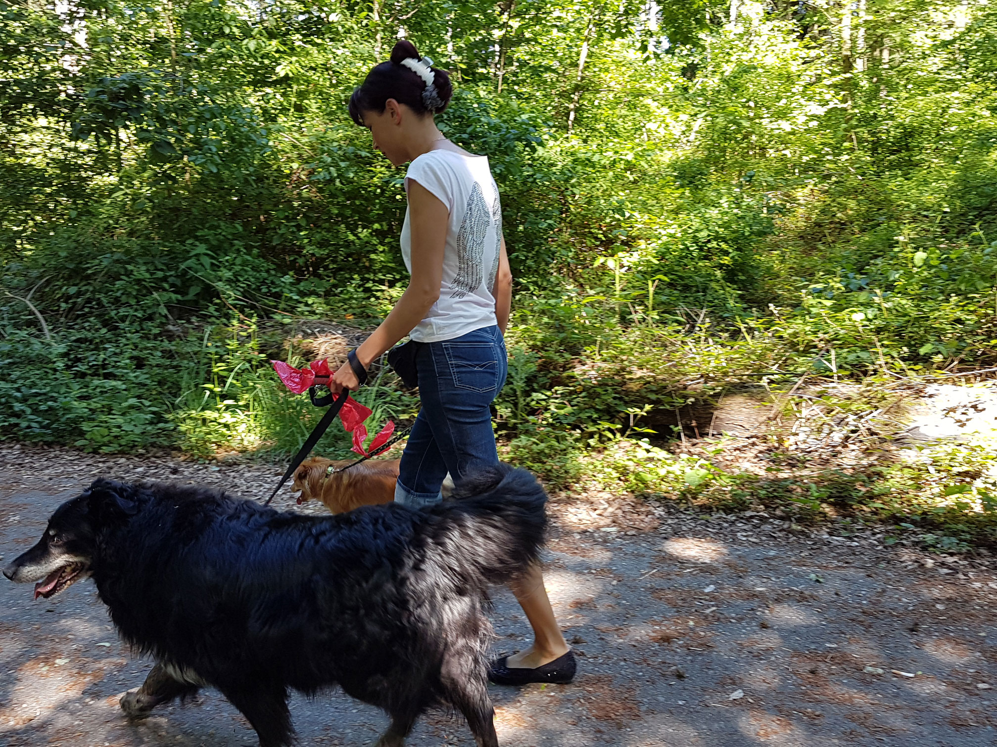 Dog-Walking
